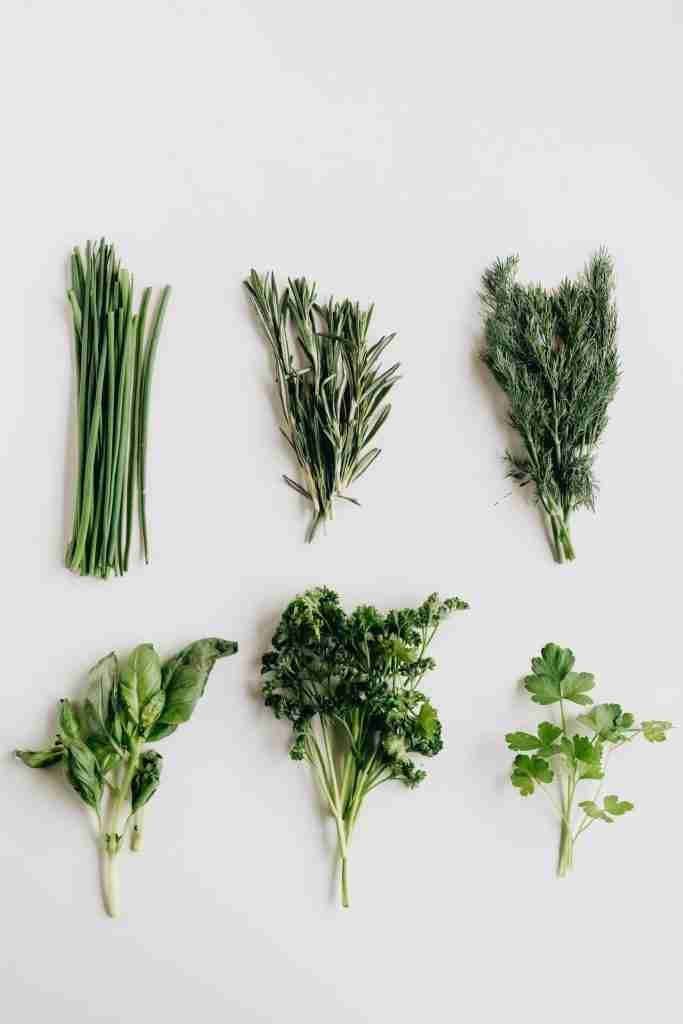 Magic herbs in hands food