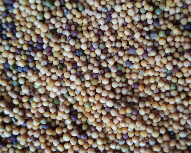 Spaces from around the world